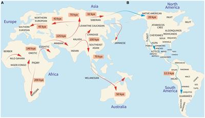 Personalized medicine and nutrition in hepatology for preventing chronic liver disease in Mexico